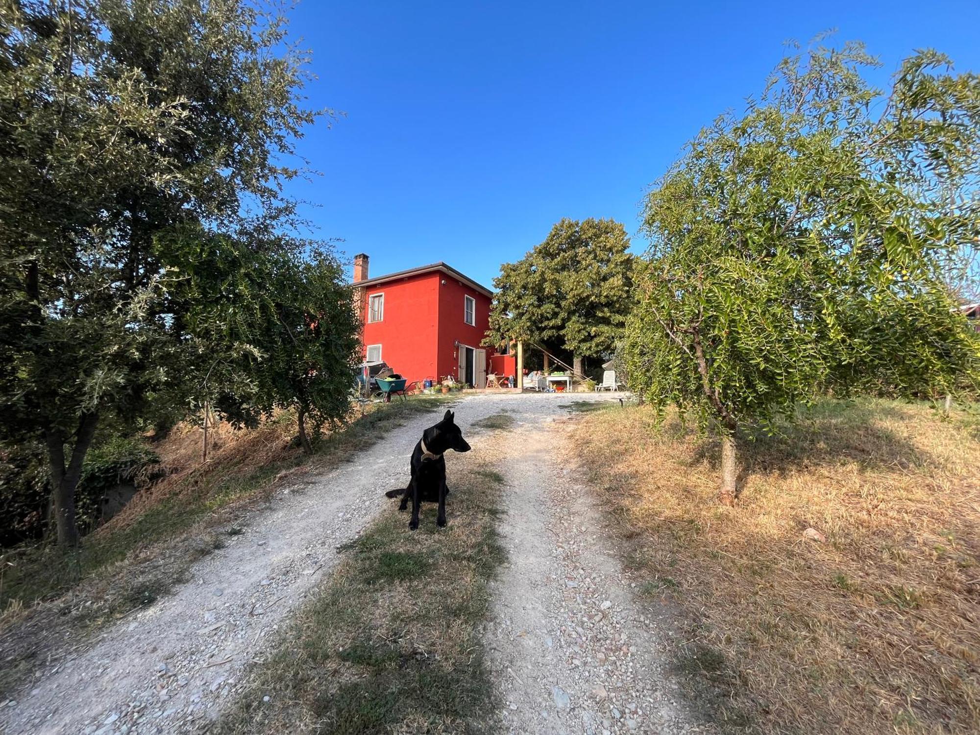 Podere Orzale Agri Hospitality Usigliano Exteriör bild